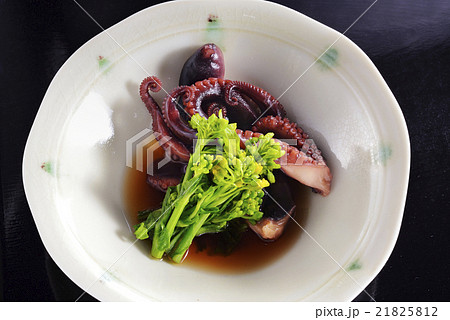 タコと菜の花 21825812