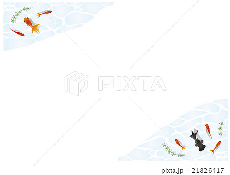 フレームA４横金魚 21826417