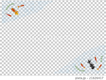 フレームA４横金魚 21826417