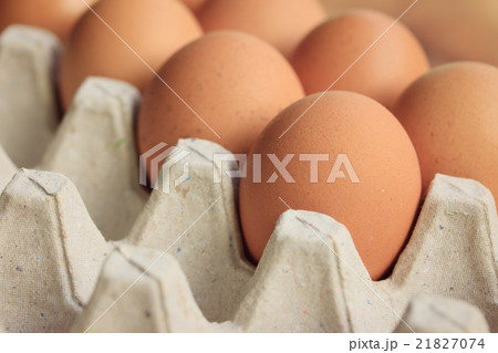 fresh yolk egg box 21827074