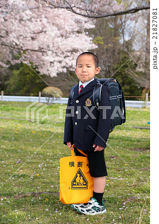 ピカピカの一年生　小学生　男の子　 21827081