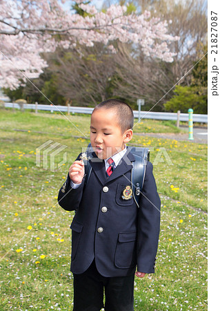 ピカピカの一年生 21827087