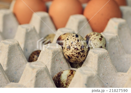 quail eggs and yolk quail eggs and yolk 21827590