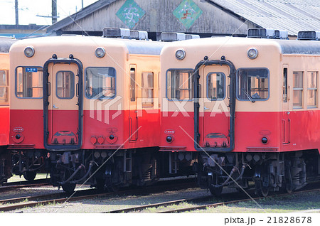 小湊鉄道の気動車 21828678