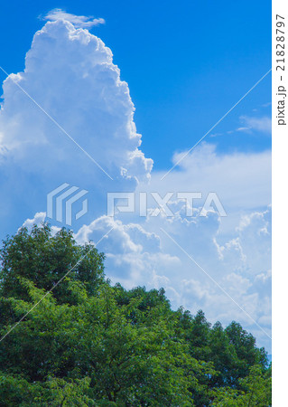 夏の雲 夏の雲 21828797