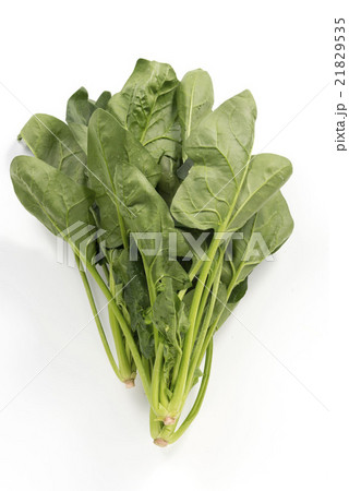 ほうれん草 21829535