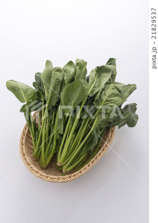 ほうれん草 21829537