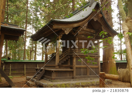 信州 岡谷の神社 東堀正八幡宮(柴宮八幡宮) 本殿 市重要文化財指定 信州 岡谷の神社 東堀正八幡宮(柴宮八幡宮) 本殿 市重要文化財指定 21830876