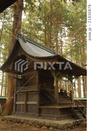 信州 岡谷の神社 東堀正八幡宮(柴宮八幡宮) 本殿 市重要文化財指定 信州 岡谷の神社 東堀正八幡宮(柴宮八幡宮) 本殿 市重要文化財指定 21830878