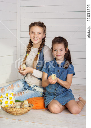 Smiling pretty girls holding chickens indoors 21831293