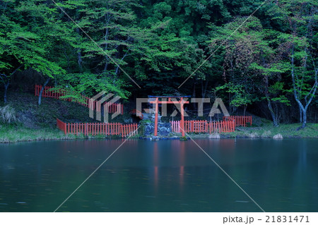 雨の龍神池(奈良県桜井市) 雨の龍神池(奈良県桜井市) 21831471