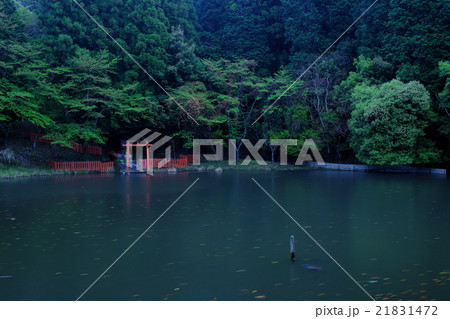 雨の龍神池(奈良県桜井市) 雨の龍神池(奈良県桜井市) 21831472