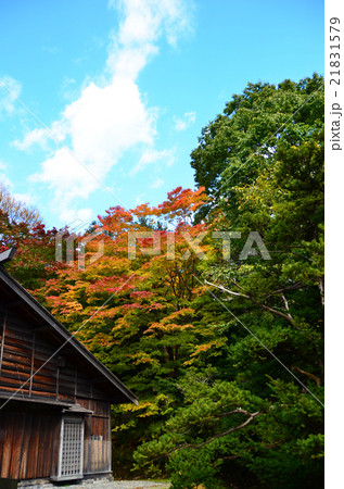 旧島松駅逓所と紅葉 旧島松駅逓所と紅葉 21831579