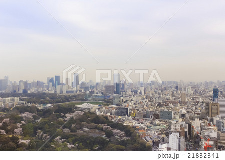 東京眺望　桜の頃 21832341