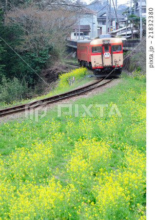 菜の花が咲く線路をやって来るいすみ鉄道の観光キハ列車 菜の花が咲く線路をやって来るいすみ鉄道の観光キハ列車 21832380
