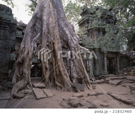 タ・プローム タ・プローム 21832460