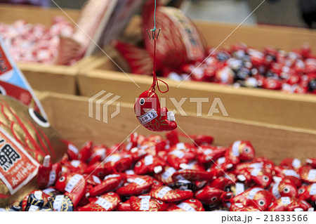 川越氷川神社 川越氷川神社 21833566