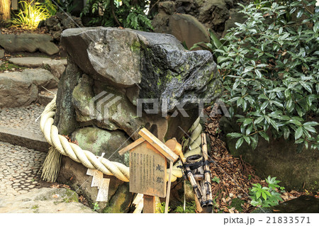 川越氷川神社 21833571