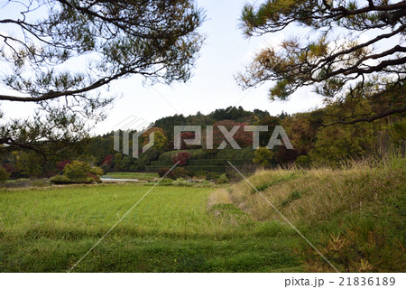 修学院離宮　田園風景 21836189