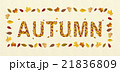 Word autumn with falling leaves, colourful letter 21836809