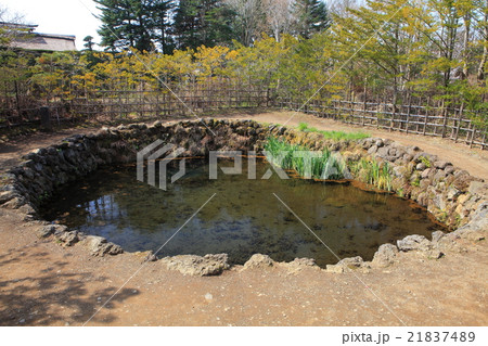 忍野八海　銚子池 21837489