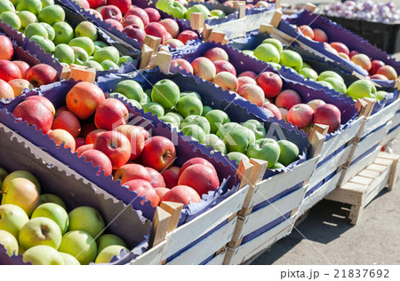 Fresh red and green apples for sale at the market Fresh red and green apples for sale at the market 21837692