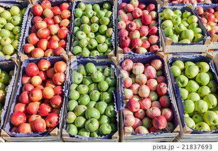 Fresh red and green apples for sale at the market Fresh red and green apples for sale at the market 21837693
