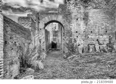 Scenic view over the ruins of Roman Forum, Italy Scenic view over the ruins of Roman Forum, Italy 21839480