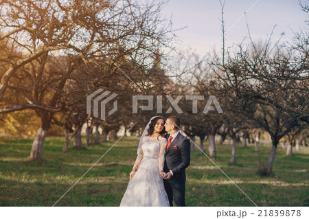 wonderful wedding day 21839878