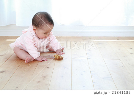 おもちゃで遊ぶ0歳の女の子 おもちゃで遊ぶ0歳の女の子 21841185