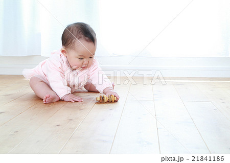 おもちゃで遊ぶ0歳の女の子 おもちゃで遊ぶ0歳の女の子 21841186