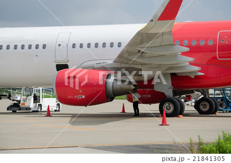 エアバスA321-200型「シャークレット仕様(ウイングレット)」ベトナム機 21841305