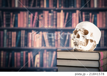読書と骸骨 21841578