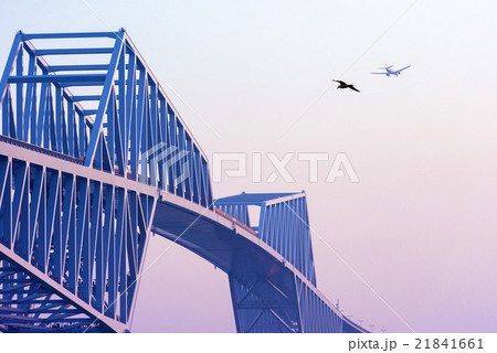 東京ゲートブリッジ 21841661