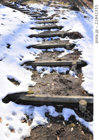 雪解けの散策路 21842355
