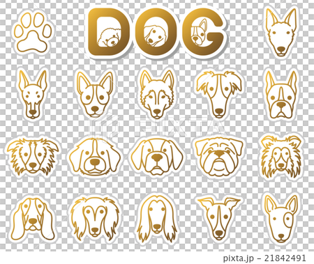 Dog / icon Dog / icon 21842491
