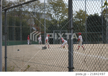 野球 野球 21842497