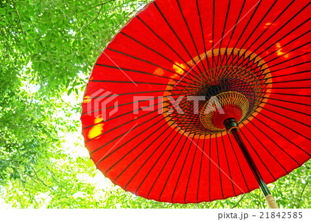 傘　和傘 21842585