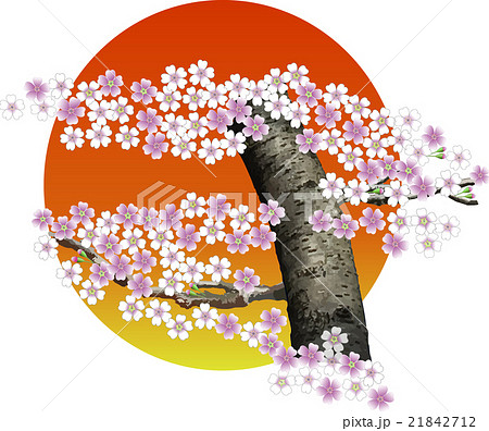 Moon (or sunlight) and cherry blossoms - Stock Illustration