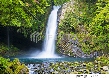 浄蓮の滝 21842800