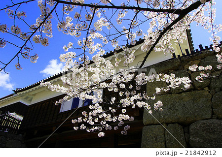 上田城　東虎口櫓門 21842912