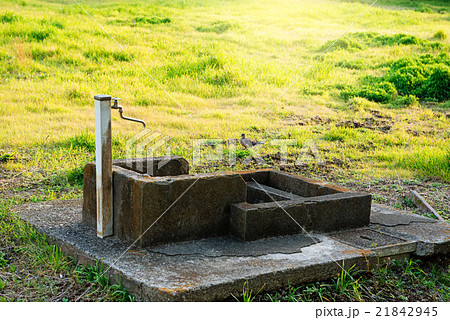 空き地, 水道 空き地, 水道 21842945