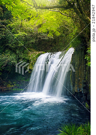 日本の滝 河津七滝 初景滝 日本の滝 河津七滝 初景滝 21842947