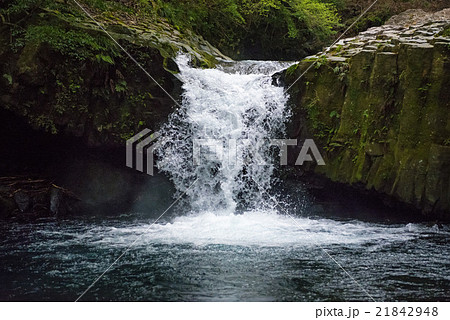 日本の滝 河津七滝 蛇滝 日本の滝 河津七滝 蛇滝 21842948