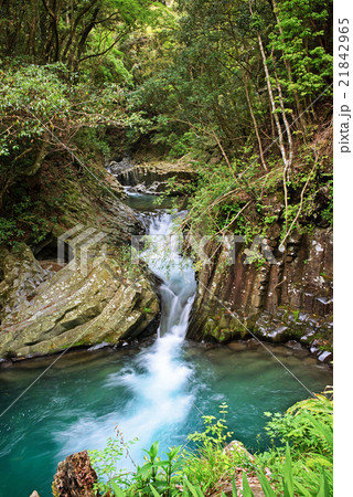 日本の滝　河津七滝　出会滝 21842965
