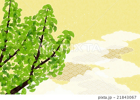 背景素材-夏イメージ,銀杏（ヨコ2,テクスチャ） 21843067
