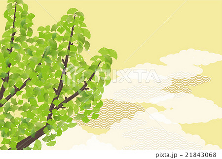 背景素材-夏イメージ,銀杏（ヨコ2） 21843068