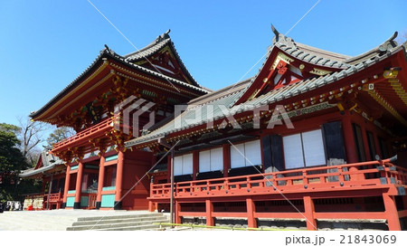 鎌倉　鶴岡八幡宮 21843069