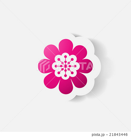 Realistic paper sticker: flowers. camomile Realistic paper sticker: flowers. camomile 21843446