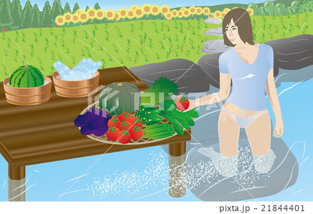 夏野菜を洗う女性のイラスト素材